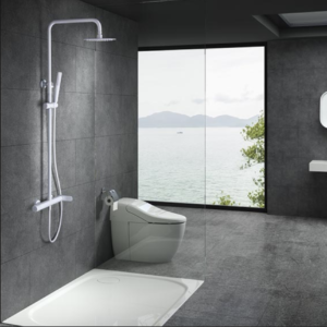 BARRA DE DUCHA MONOMANDO BLANCO MATE SERIE DINAMARCA